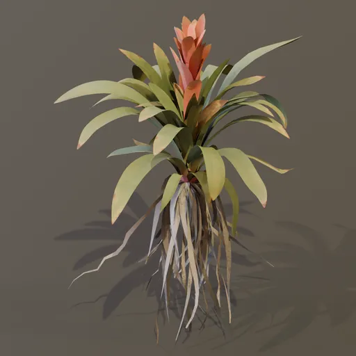 Bromeliad Tropical Flower Large