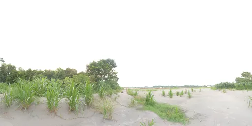 Grass Patches HDRI