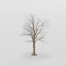 Small Rottenpine