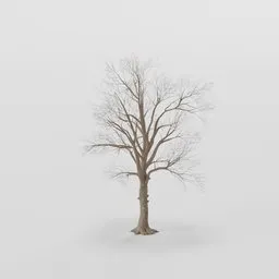 Small Rottenpine