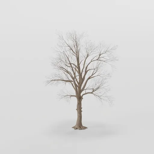 Small Rottenpine