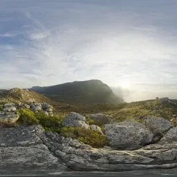 Cape Hill