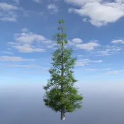 Detailed low poly evergreen tree model for Blender, optimized for realistic transparent light paths.