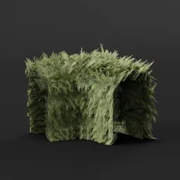 Red Cedar Bush Corner Round