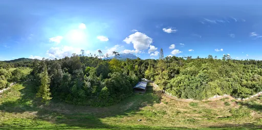 Forest green tree cloud