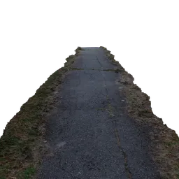 Pathway Photoscan