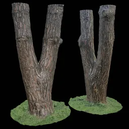 High-detail 3D scanned model of a bifurcated tree with quad mesh topology for use in Blender.