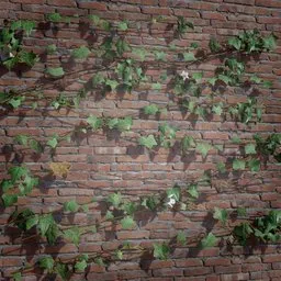 Ivy Creeper Tile 2M 03 01