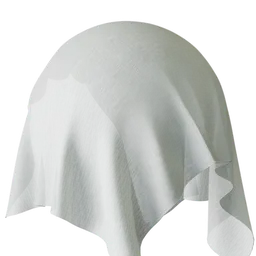 Plain White Sheer