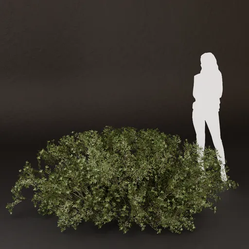 SJ-Tiny Leaf Texture Bush