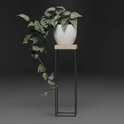 Indoor Plant Stand