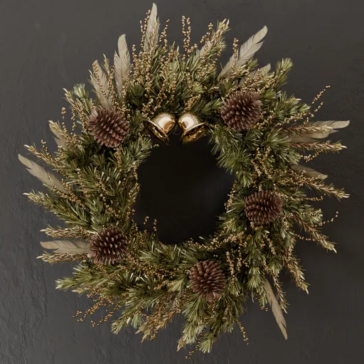 SJ-Wreath pine fruit