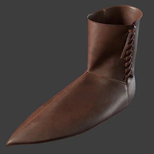Shoe