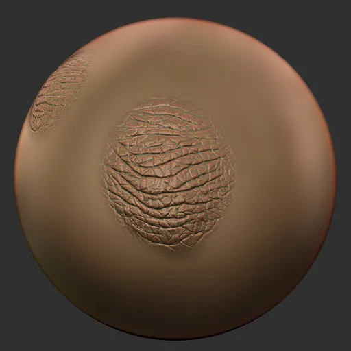 ER_ Human Skin(D) 17