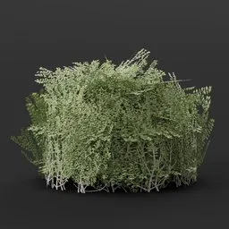 Realistic 3D round boxwood hedge asset for Blender, ideal for adding lush greenery to virtual 3D environments.