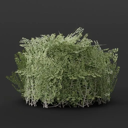 Realistic 3D round boxwood hedge asset for Blender, ideal for adding lush greenery to virtual 3D environments.