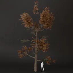 SJ-Snow Touch Pine Tree