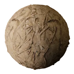 Tree Roots Forest Ground