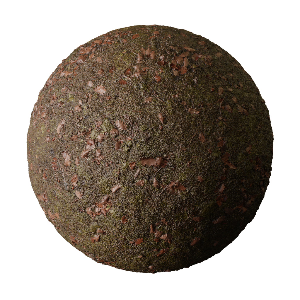 Damp Autumn Mossy Covered Ground | FREE ground materials | Blendkit