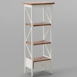 Painted Ladder Shelf