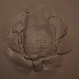 Rock Rugged Brush o1025 6