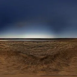 Steppe landscape