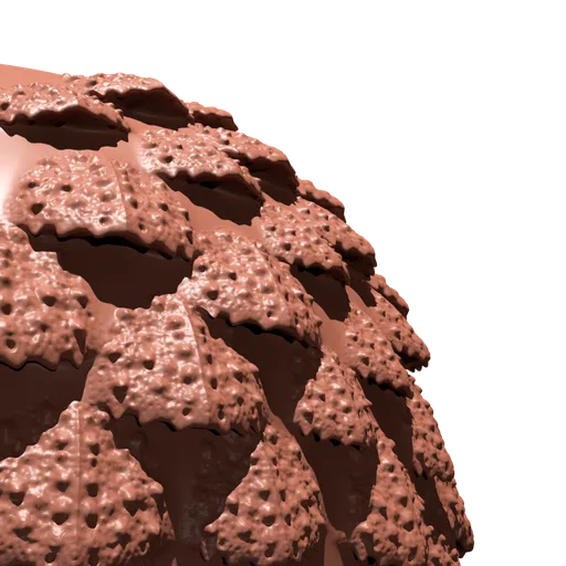Single Overlapping Scale