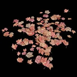 Realistic Autumn Leaf Ground Scatter