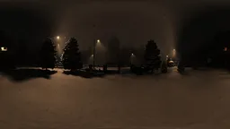 Snowy night