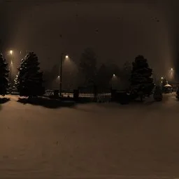 Snowy night