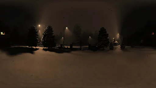 Snowy night
