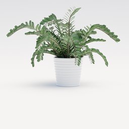 Indoor Plant with Vase