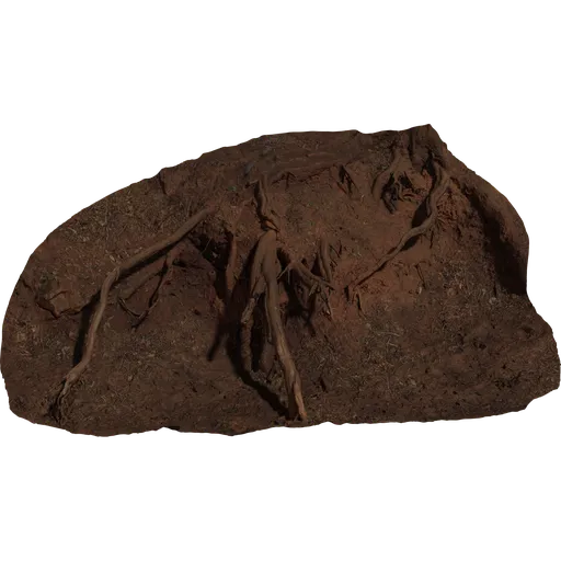 Root Cluster 01