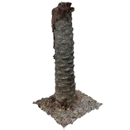 Realistic 3D palm trunk with moss detail for Blender rendering and virtual landscaping.