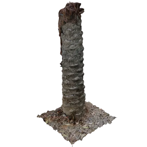 Realistic 3D palm trunk with moss detail for Blender rendering and virtual landscaping.