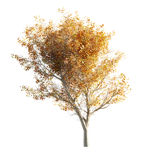 Thumbnail: Tree LOD 0 Autumn