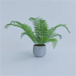 "3D model of a minimalistic indoor nature fern plant in a concrete pot, ideal for interior decoration in Blender 3D. Featuring PBR material for realistic rendering, this photorealistic fern model adds a serene and aesthetic touch to any virtual environment."
