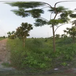 Rural Brick Road Fork – HDRI