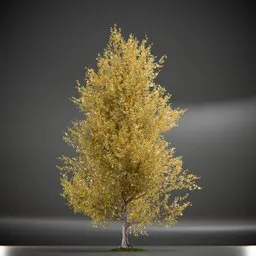 Tree Princeton Sentry Animated