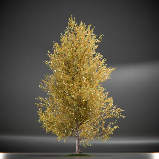 Tree Princeton Sentry Animated