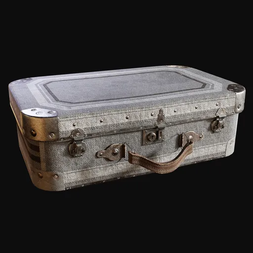 Stylish 1930s Suitcase Silver