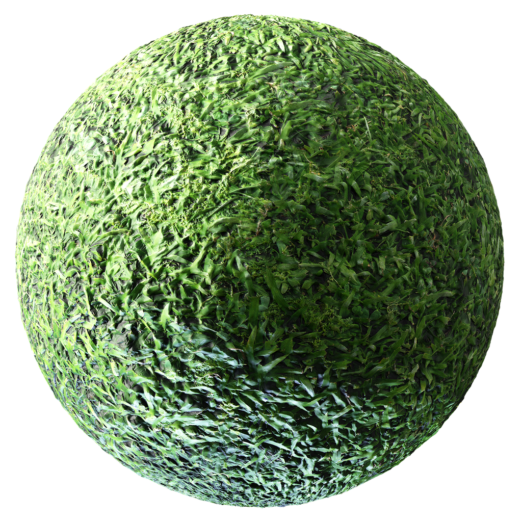 BlenderKit Download The FREE Grass 02 Material