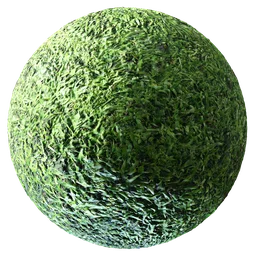 Realistic Grass 02 PBR texture for 3D ground materials with detailed green foliage.