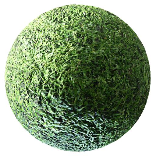 Grass 02