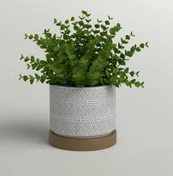 Potted Eucalyptus in Geometric Planter
