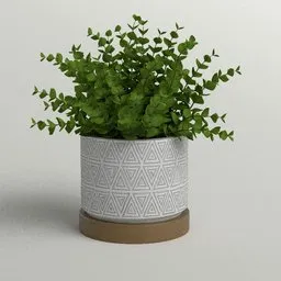 Potted Eucalyptus in Geometric Planter