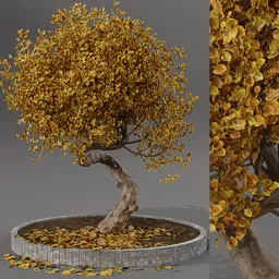 Detailed 3D model of a twisted autumn tree with golden leaves, rendered in Blender, perfect for 3D landscaping and visualization.