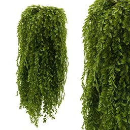 Column Hanging Plant