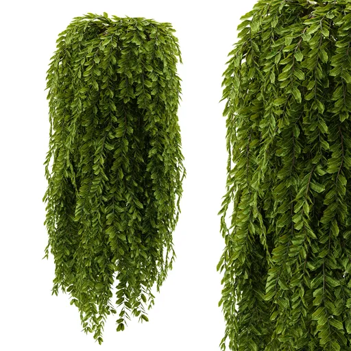 Hanging Column Plant
