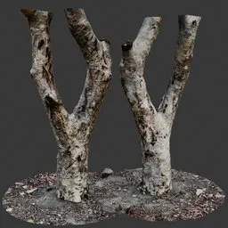 Forked Tree Trunks